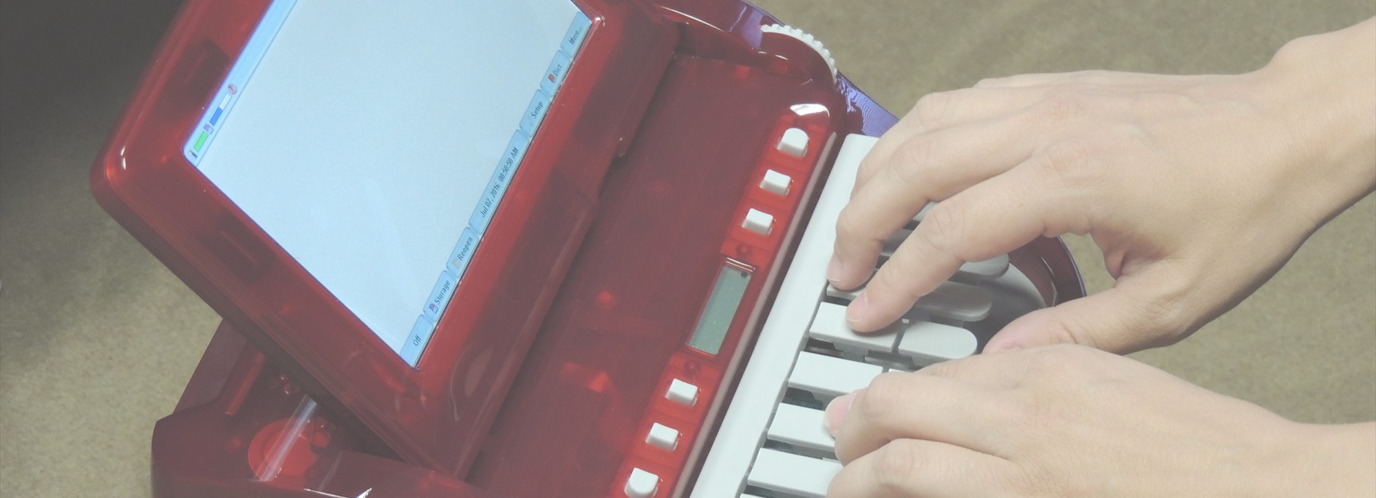 stenowhite stenowhite